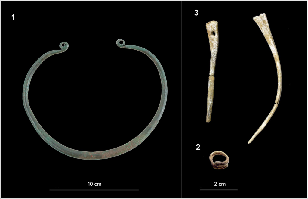 Grabbeigaben aus der Bestattung Nr. 241: 1. bronzener Halsring (Ösenring); 2. goldener Haarring (Noppenring) 