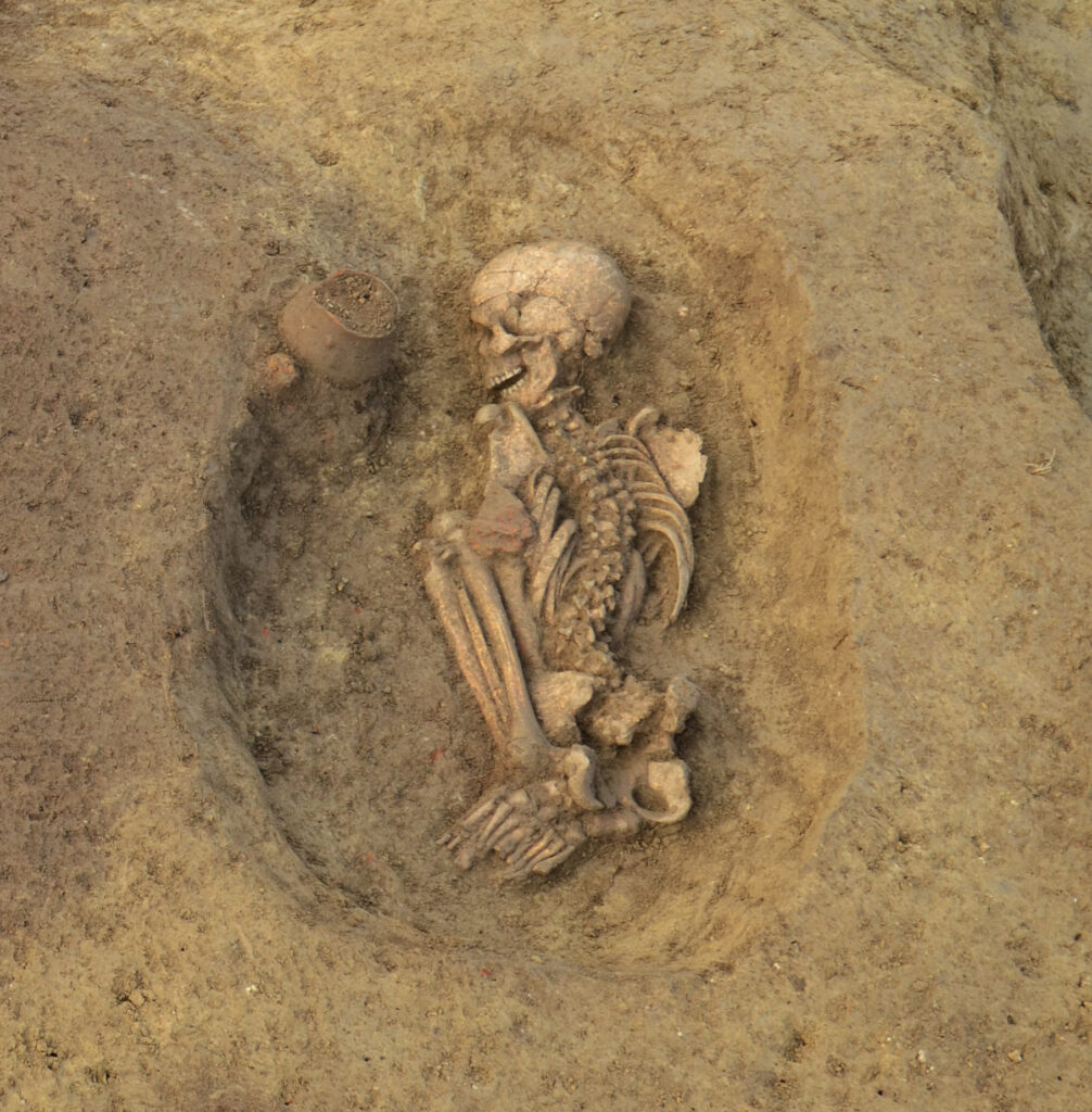 Ein ausgegrabenes Skelett eines verstorbenen mit einem Keramikgefäß 