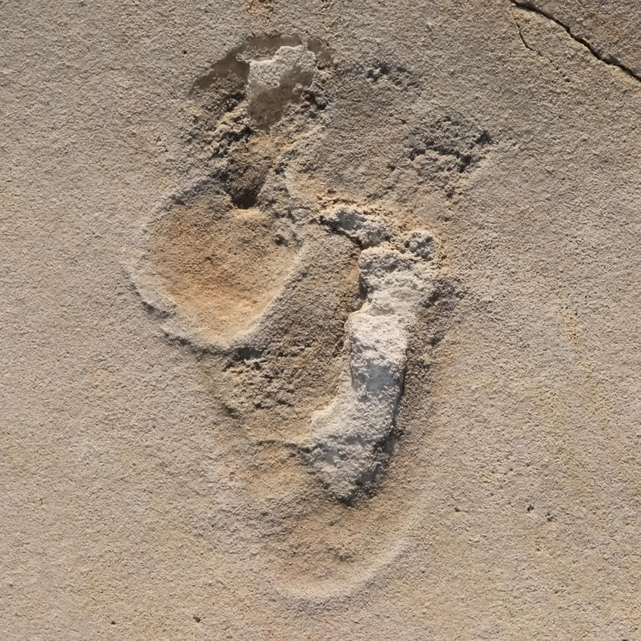 Spuren am Strand: Eine von über 50 Fußspuren früher Menschenvorläufer, welche 2017 bei Trachilos auf Kreta beschrieben wurde. Ihr Alter wurde nun auf über sechs Millionen Jahre vor heute datiert.
