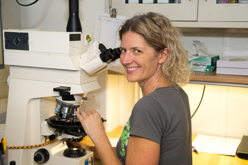 Denise K. Kulhanek leitet die Arbeitsgruppe Marine Mikropaläontologie am Institut für Geowissenschaften an der CAU.