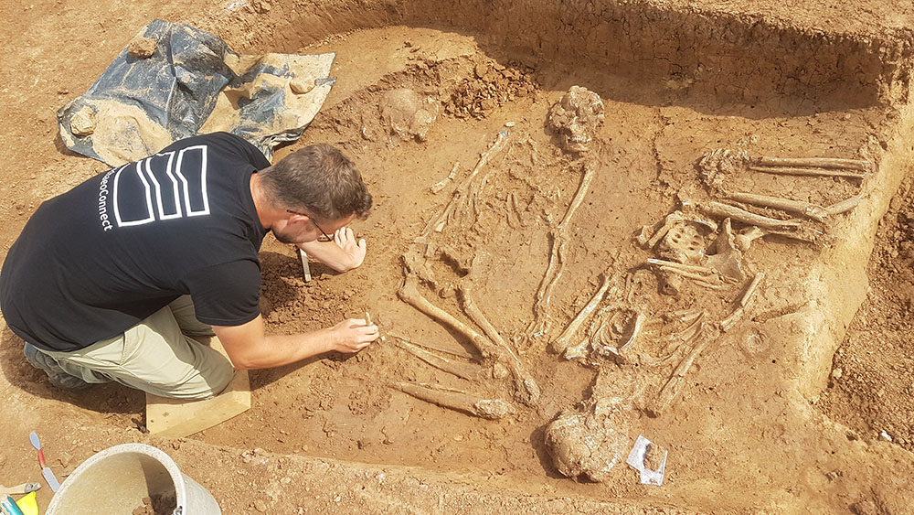 Eine Mehrfachbestattung der Schnurkeramik wird während der Rettungsgrabungen durch den Archäologen Frank Brodbeck (ArchaeoConnect) vorsichtig freigelegt