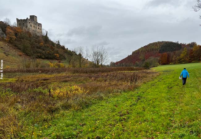 Ederheim im Ries, Forellenbachtal unterhalb der Burgruine Niederhaus mit dem Moor Katzenweiher.