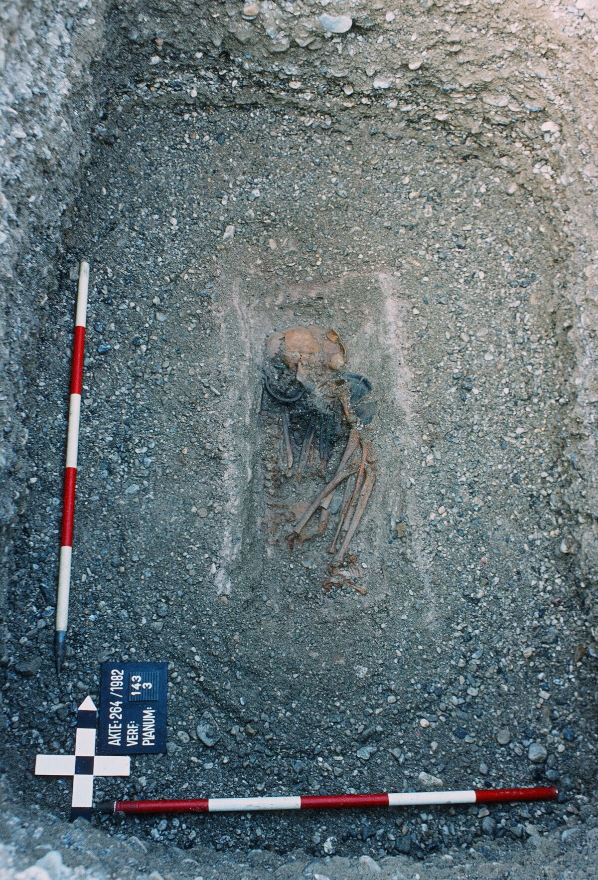 Typisch männliches Kindergrab (linke Körperseite, Nord-Süd-Orientierung) aus Franzhausen I, Österreich.