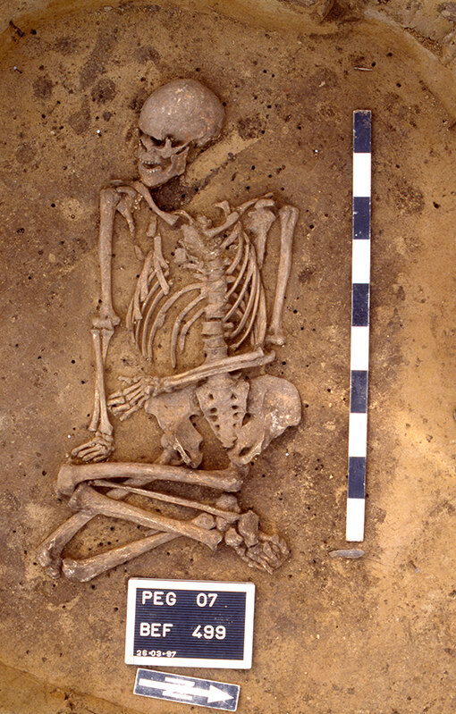  Im dem Skelett eines 35-45 Jahre alten Mannes bei Großstorkwitz (Kr. Leipzig) aus dem 3. Jahrtausend v. Chr. fand sich der Pesterreger Yersinia Pestis.  © Landesamt für Archäologie Sachsen 