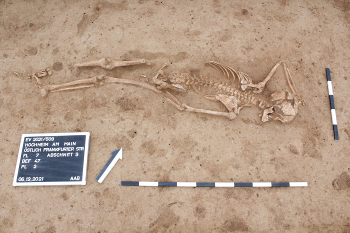 Bestattung einer weiblichen Person, die vor ca. 6000 Jahren auf dem Gebiet von Hochheim lebte. 